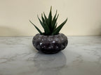 Resin Polka Dot Decor